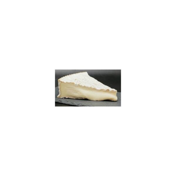 Queso Brie