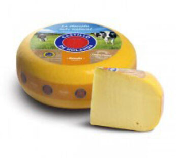 Queso Gouda Tierno